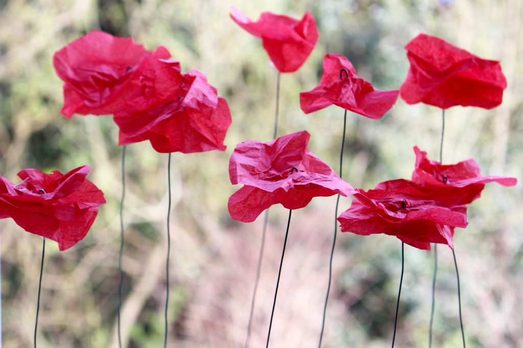 DIY coquelicot